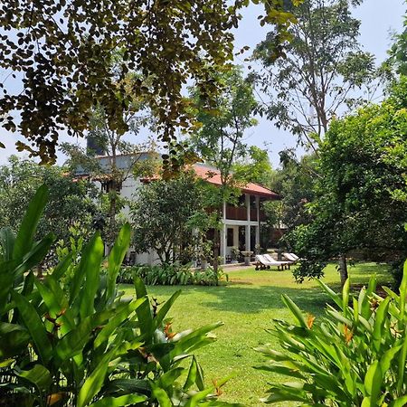 Villa Arana Bentota Bagian luar foto
