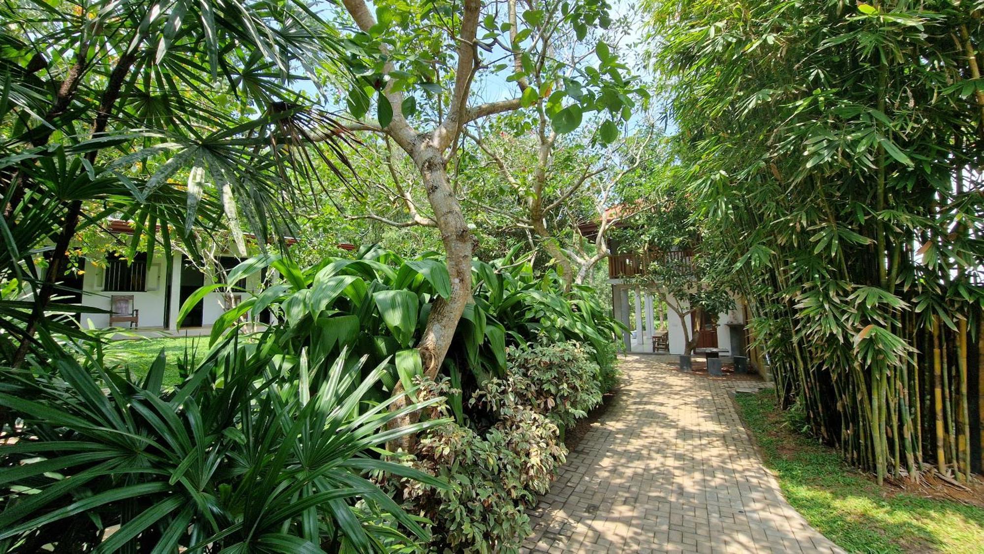 Villa Arana Bentota Bagian luar foto