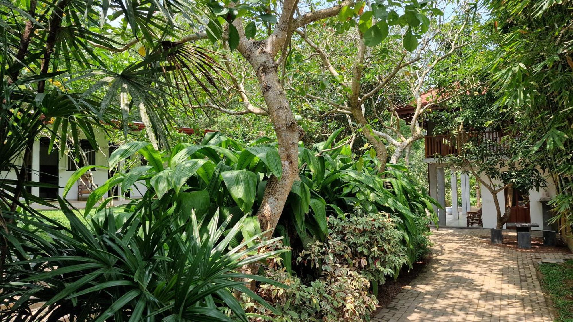 Villa Arana Bentota Bagian luar foto
