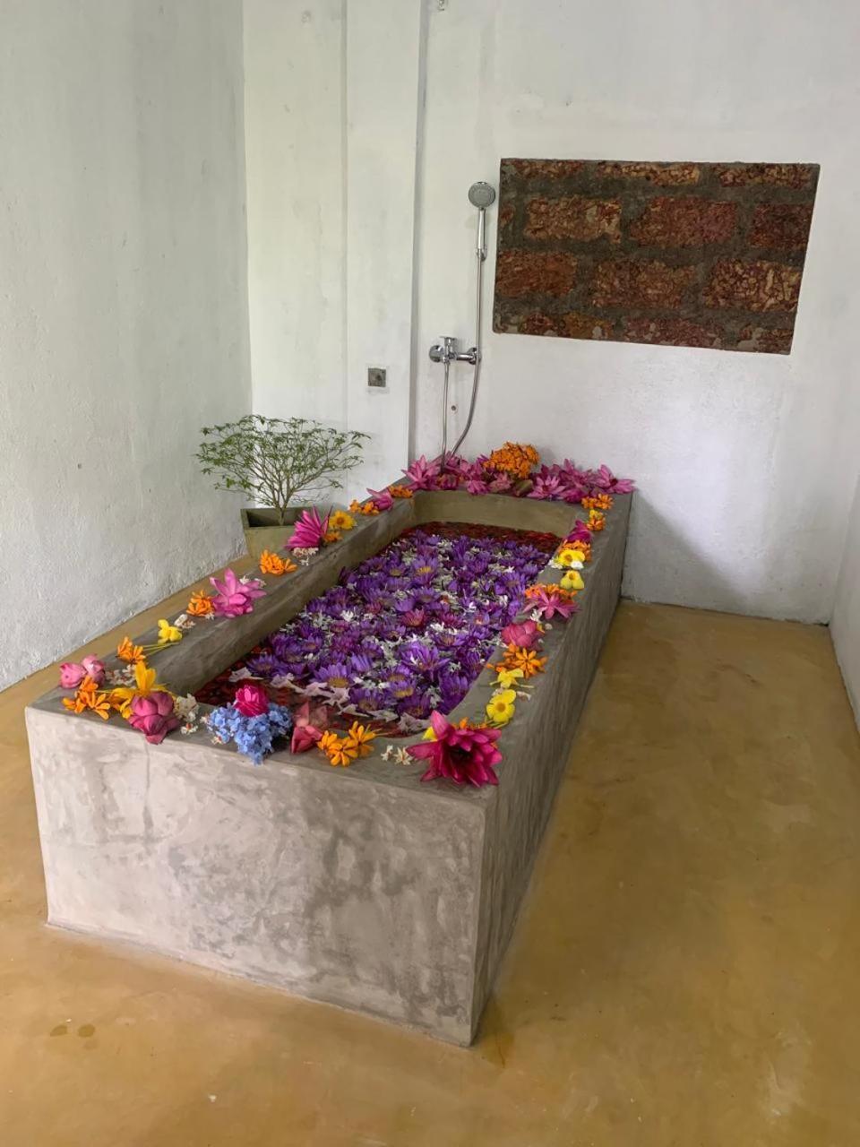Villa Arana Bentota Bagian luar foto